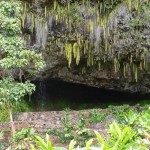 fern-grotto-kauai