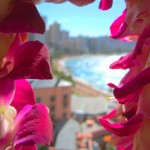 Honululu-Hawaii-Pink-Palace-Hotel-Orchid